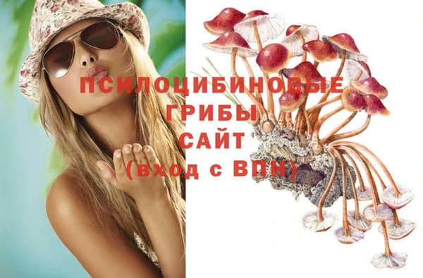 марки nbome Алзамай