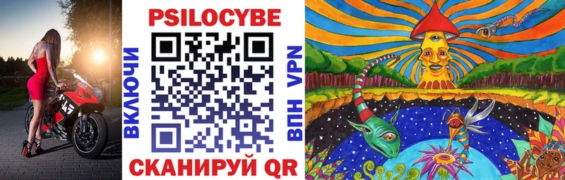 продажа наркотиков  Шацк  Псилоцибиновые грибы мухоморы 